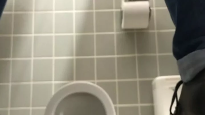 覗き見の悦楽！魅惑のトイレ盗撮スペシャル のスクリーンショット 9