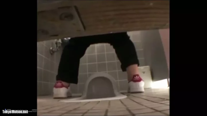 覗き見の悦楽！のりこえ便所で見つけた美熟女 のスクリーンショット 6