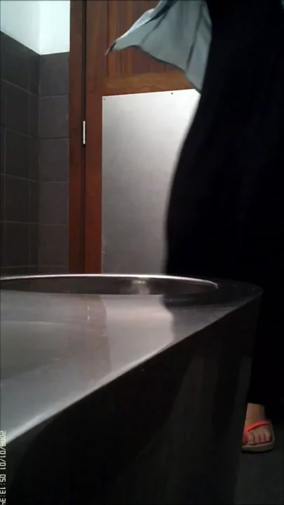 ドイツの隠し撮り！トイレで魅せる極秘の悦楽 のスクリーンショット 4