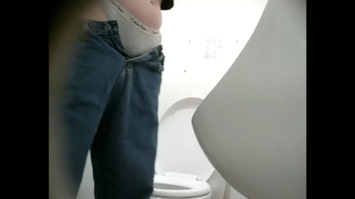 公衆トイレで大胆露出！美乳を弄ぶ大胆不敵な淑女 のスクリーンショット 4