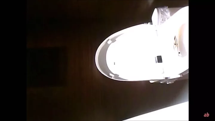 覗き見の悦楽！魅惑のトイレ盗撮スペシャル のスクリーンショット 4