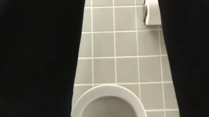覗き見の悦楽！魅惑のトイレ盗撮スペシャル のスクリーンショット 12