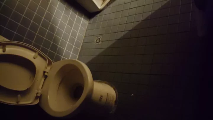 【4K】中国公衆トイレで盗撮！美女の決定的瞬間 のスクリーンショット 8