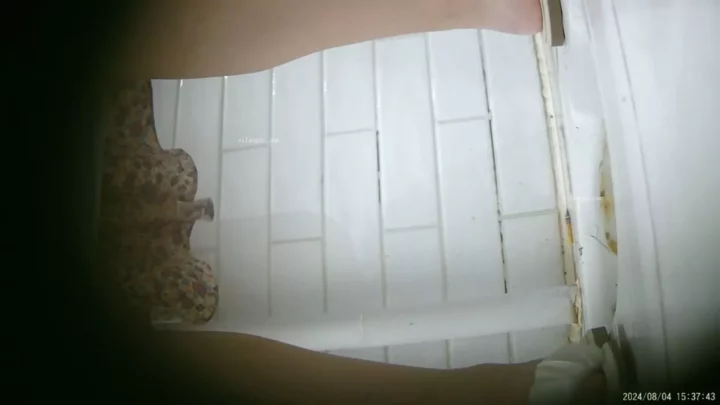 【隠し撮り】中国トイレで大胆盗撮！ のスクリーンショット 6
