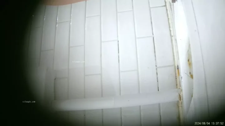 【隠し撮り】中国トイレで大胆盗撮！