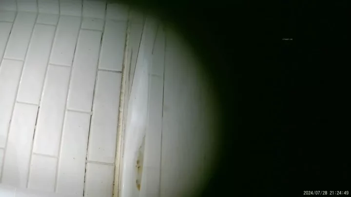 【隠し撮り】中国トイレで大胆盗撮！ のスクリーンショット 11