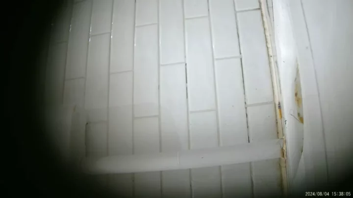 【隠し撮り】中国トイレで大胆盗撮！ のスクリーンショット 8