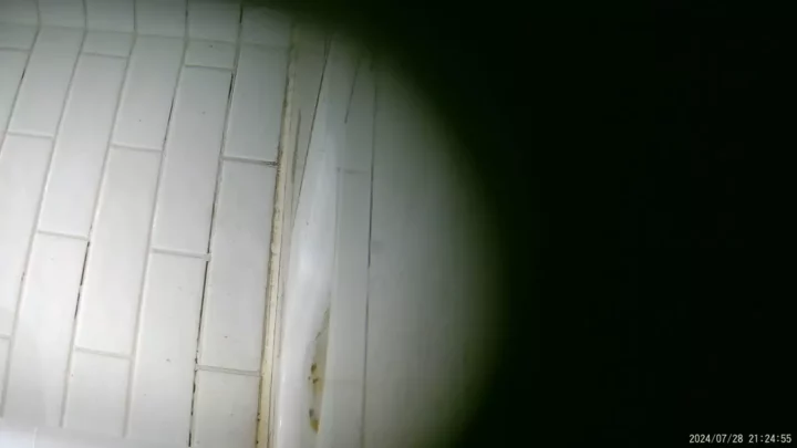【隠し撮り】中国トイレで大胆盗撮！ のスクリーンショット 12