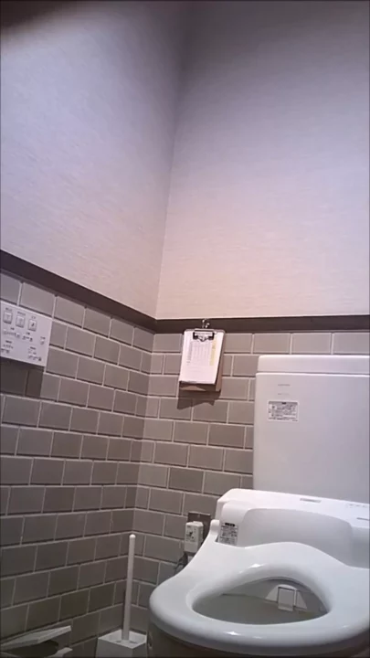 隠しカメラで捉えた！女子トイレのひそかな瞬間 のスクリーンショット 5
