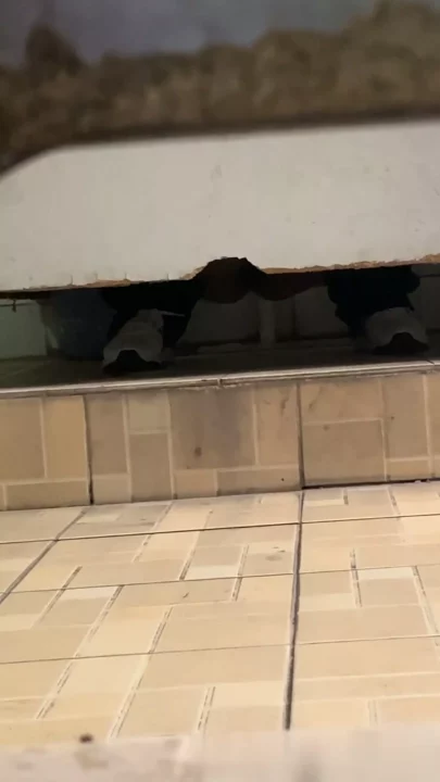 盗撮カメラが捉えた！個室トイレの密会を覗き見 のスクリーンショット 9