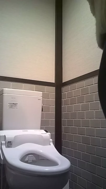 隠しカメラで捉えた！女子トイレのひそかな瞬間 のスクリーンショット 2