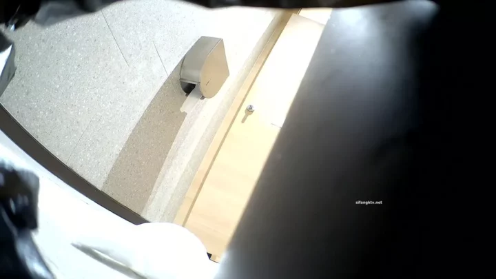 トイレの秘密：隠しカメラが捉えた覗き見の瞬間 のスクリーンショット 2