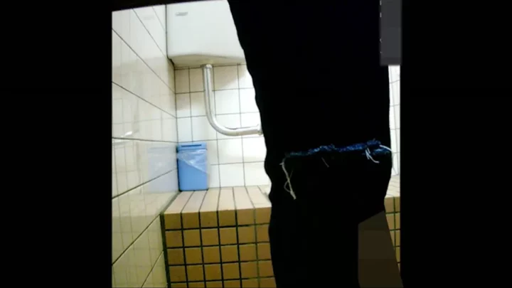 女子高生の秘められた欲望が溢れる隠し撮りトイレ のスクリーンショット 2