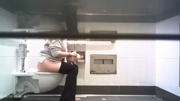 女子トイレ盗撮！学園の女神たちが無防備な素顔を晒す のスクリーンショット 2