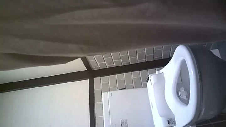 【盗撮】密室のトイレで繰り広げられる秘め事… のスクリーンショット 11