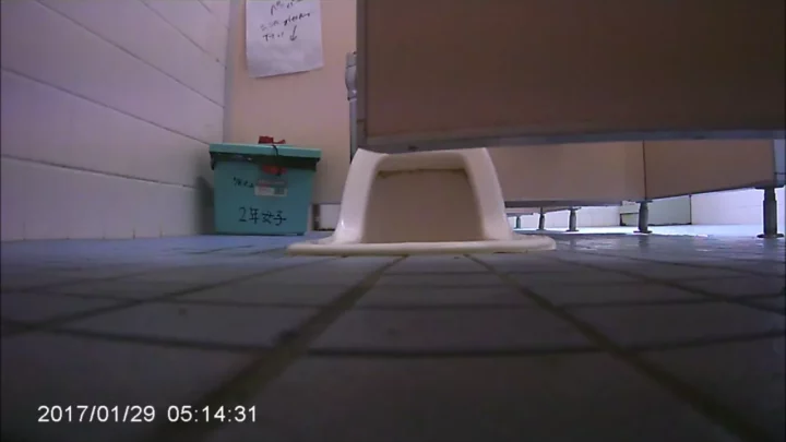 女子高生の秘密を覗き見！隠し撮りトイレ盗撮 のスクリーンショット 7