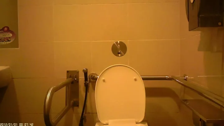 シンガポール女子トイレ盗撮！緊迫の盗撮カメラ のスクリーンショット 3