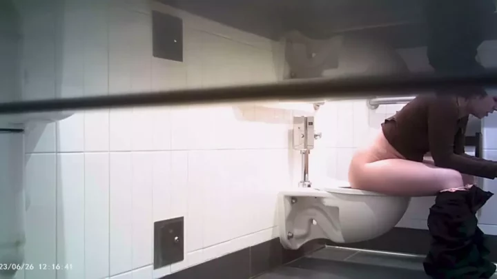 女子トイレ盗撮！学園の女神たちが無防備な素顔を晒す のスクリーンショット 7