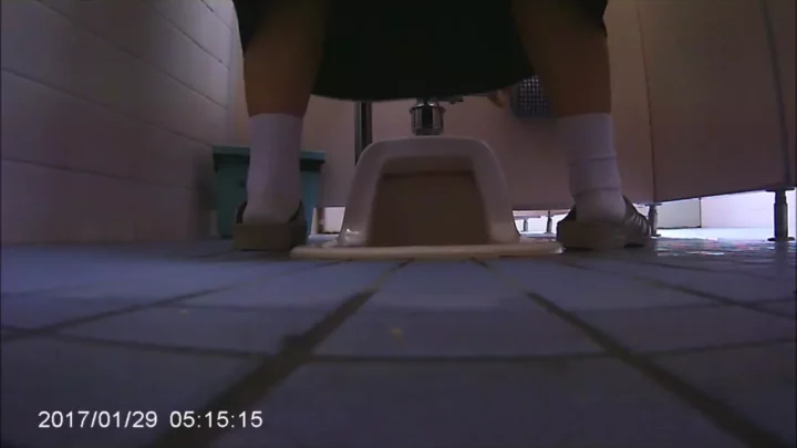 女子高生の秘密を覗き見！隠し撮りトイレ盗撮 のスクリーンショット 8