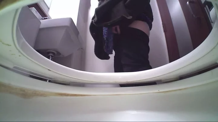 熟女の密室、覗き見の快感。トイレ盗撮其の十五 のスクリーンショット 9