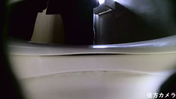 山奥の公衆トイレで繰り広げられる秘め事：隠し撮り2カメラ のスクリーンショット 5