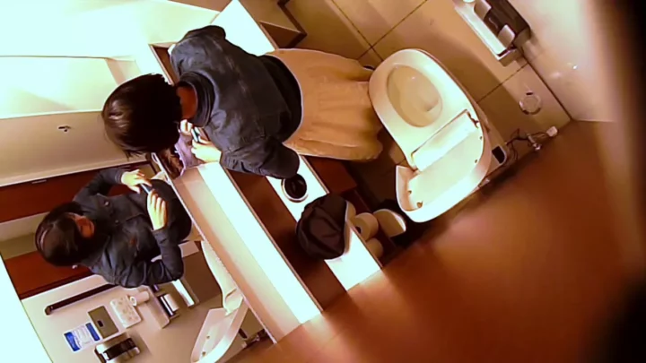 熟女の密室、覗き見の快感。トイレ盗撮其の十五 のスクリーンショット 10