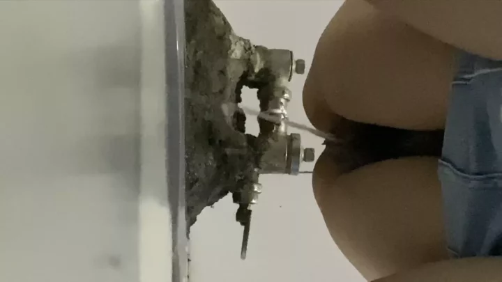 公衆トイレで繰り広げられる禁断の愛欲 のスクリーンショット 2