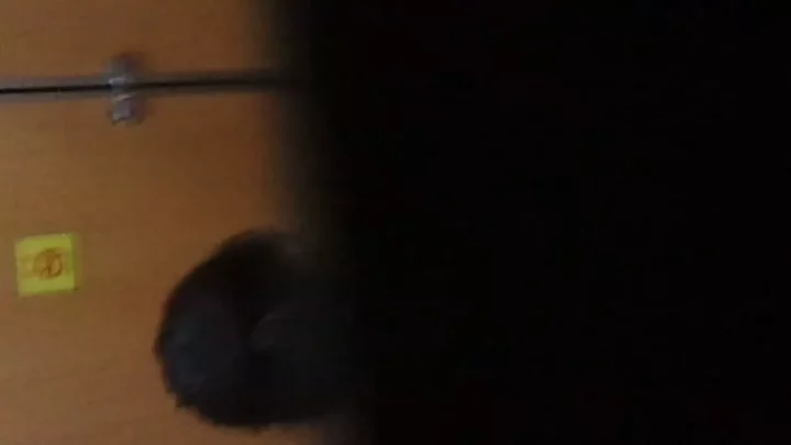 書店トイレ盗撮：女子高生もターゲット！戦慄の隠しカメラ映像 のスクリーンショット 14