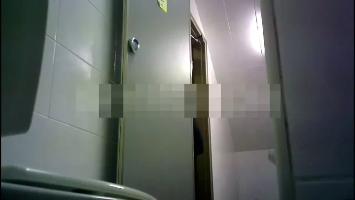 熟女の密室、覗き見の快感。トイレ盗撮其の十五 のスクリーンショット 3