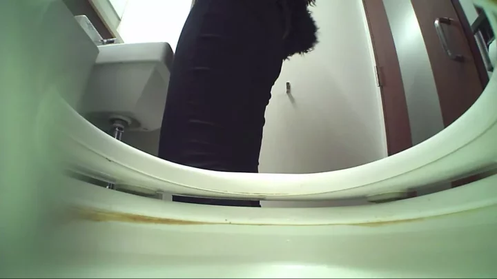 熟女の密室、覗き見の快感。トイレ盗撮其の十五 のスクリーンショット 11