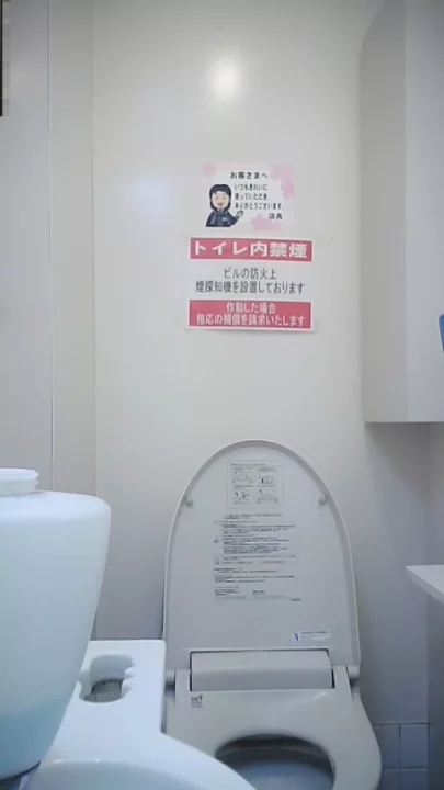 期間限定！美女たちのトイレ覗き見4連発 のスクリーンショット 3