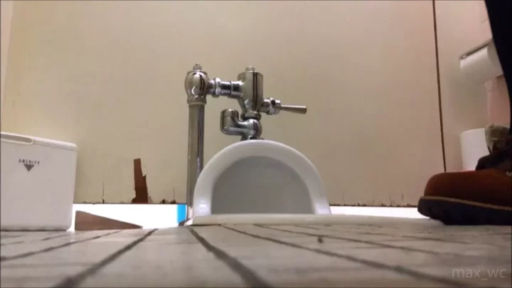 トイレの個室でまさかの遭遇！盗撮カメラが見た衝撃 のスクリーンショット 11