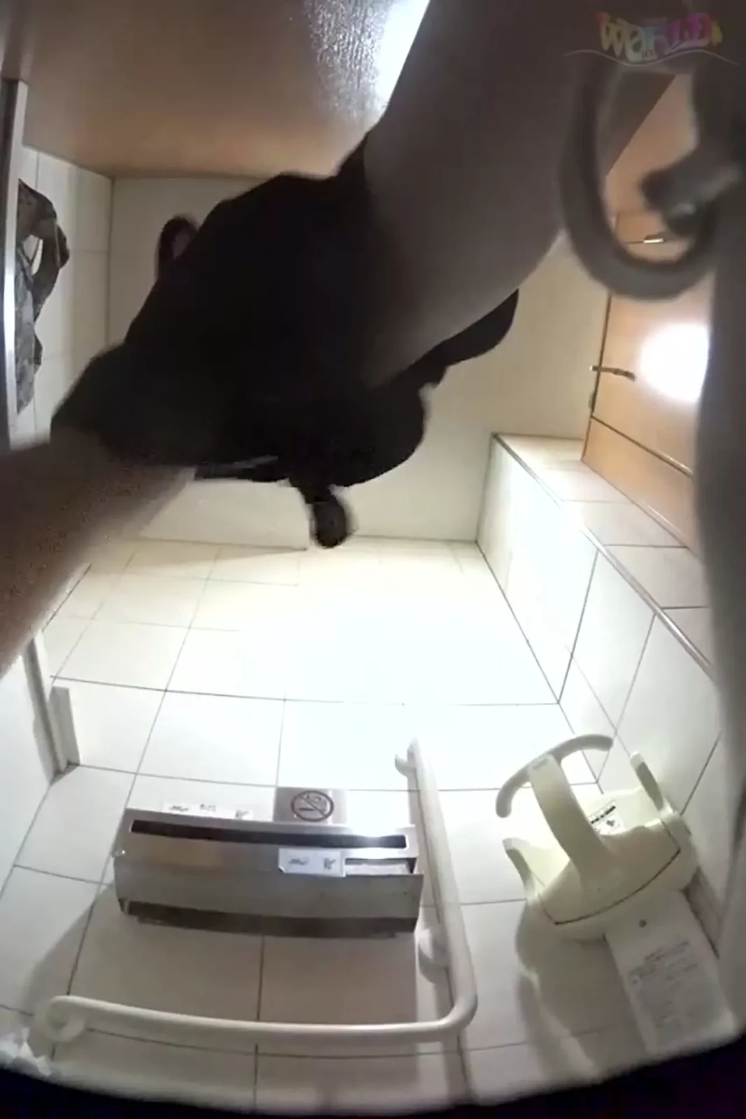 隠しカメラが捉えたトイレでの密会！衝撃の情事