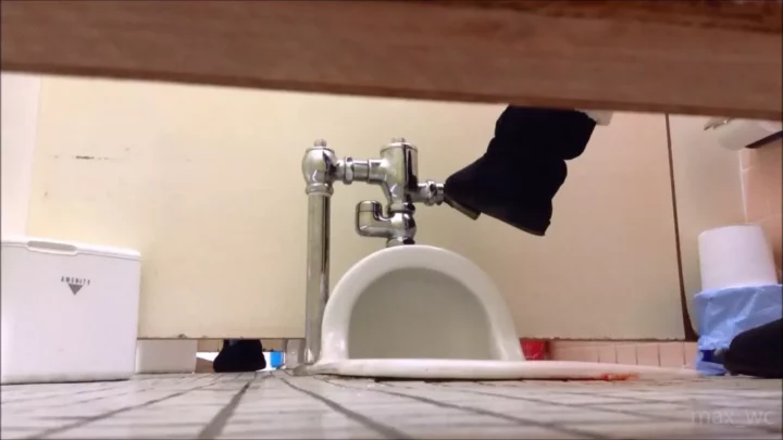 トイレの個室でまさかの遭遇！盗撮カメラが見た衝撃 のスクリーンショット 12