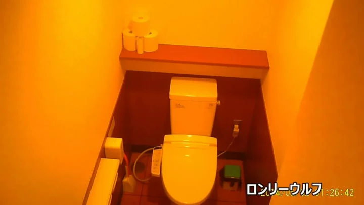 隠しカメラが捉えた！美人お姉さんのトイレ盗撮 のスクリーンショット 12