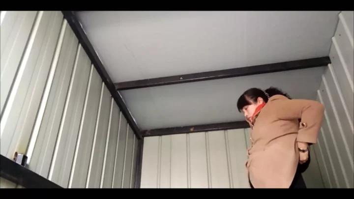 田舎の簡易トイレに仕掛けた隠しカメラ！ のスクリーンショット 8