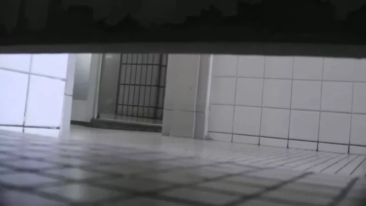 盗撮！トイレの密室で蠢く秘密の花園　其の三十一 のスクリーンショット 5