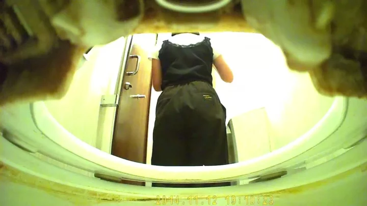 覗き見の悦楽！女子トイレに仕掛けられた秘められた視線 のスクリーンショット 6