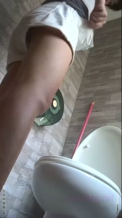 【家庭盗撮】広角レンズが捉えたトイレの秘密 のスクリーンショット 2