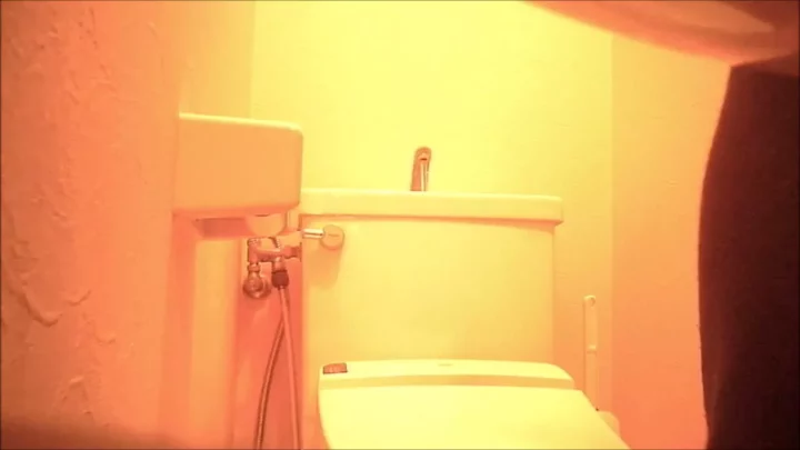和式トイレの奥深く…密かに潜む禁断の覗き見 のスクリーンショット 10