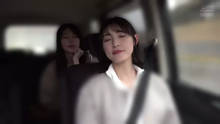 美人CAと共謀！後輩CAを欲情漬けにした淫乱フライト のスクリーンショット 2