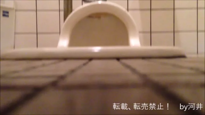 人目を忍んで…公共トイレでの秘密の悦楽 のスクリーンショット 1