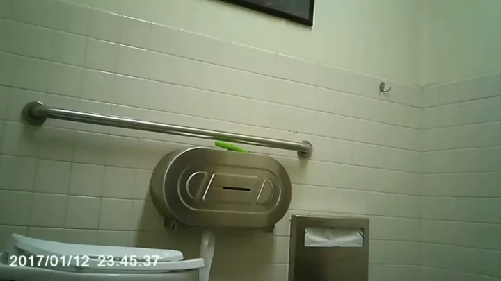 覗き見！ジョーのトイレで繰り広げられる秘密の時間 のスクリーンショット 1