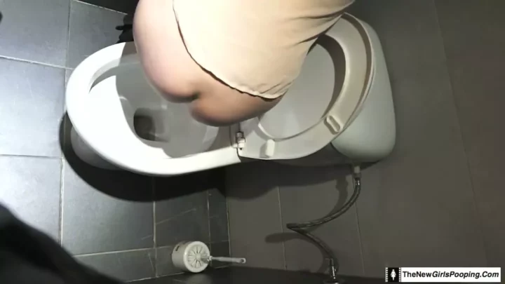 Screenshot 1 from 公共のトイレをぶっ壊す！過激な破壊衝動