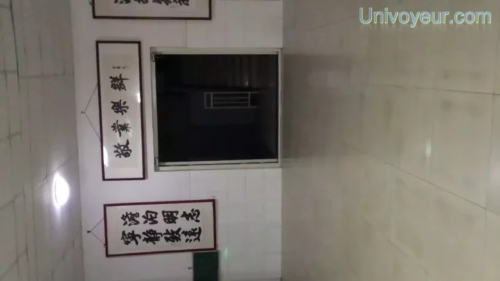 Screenshot 2 from 欲望を刺激する禁断の瞬間！トイレで捉えた中国人女性