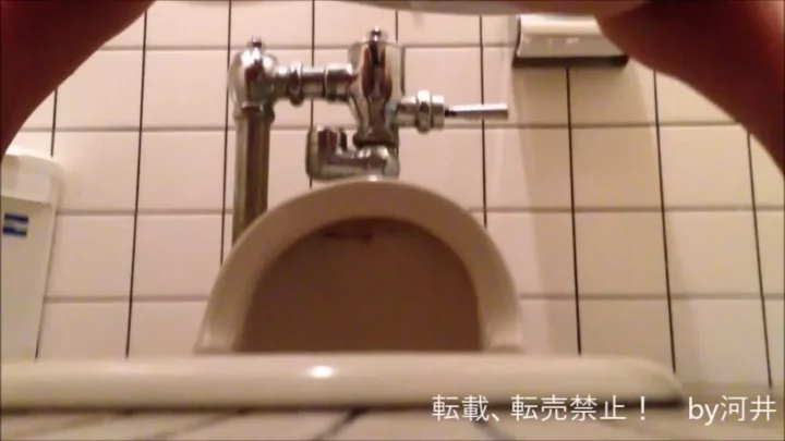 人目を忍んで…公共トイレでの秘密の悦楽 のスクリーンショット 3