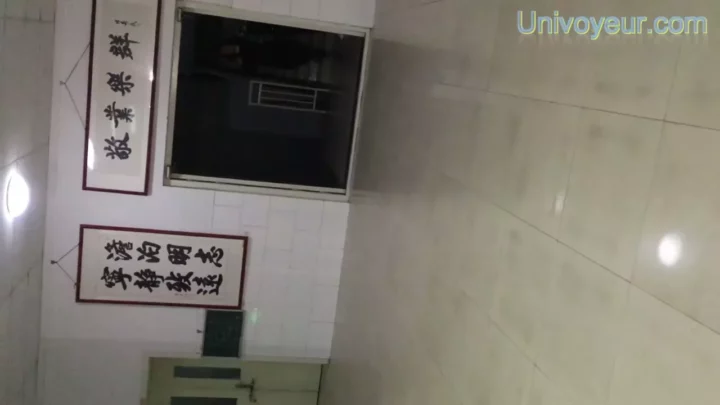 Screenshot 3 from 欲望を刺激する禁断の瞬間！トイレで捉えた中国人女性