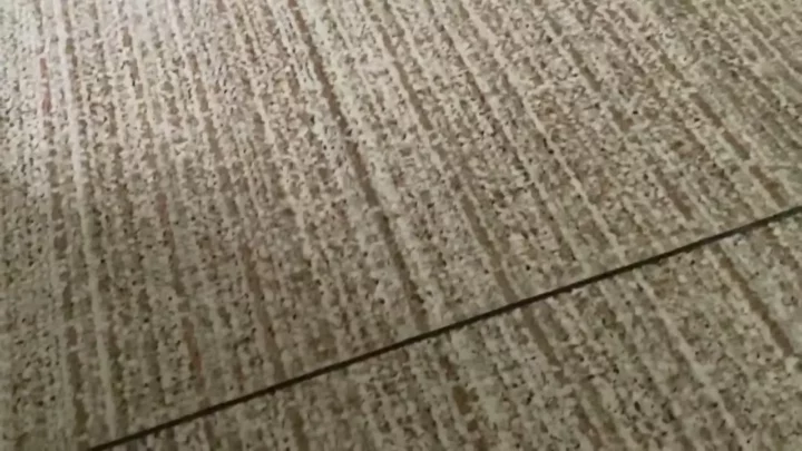 Screenshot 4 from 中国の公衆トイレで盗撮！美女の決定的瞬間