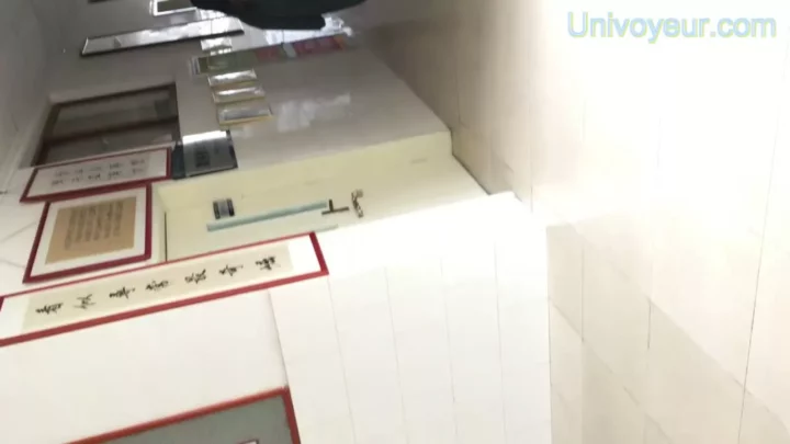 Screenshot 4 from 中国人女性を捉えたトイレ盗撮！緊張感MAXの覗き見