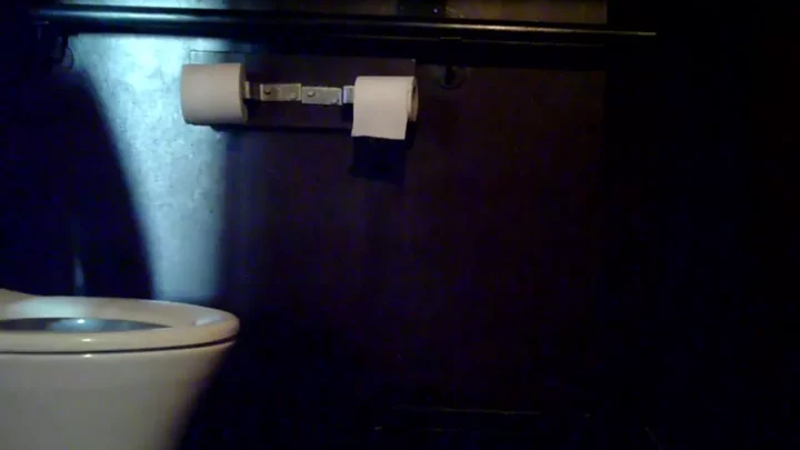 覗き見の興奮！パブのトイレで発見された美熟女の秘密 のスクリーンショット 1